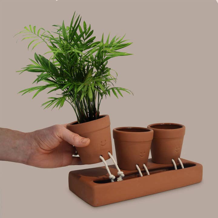 Pikkii USA - Wholesale Plant Pot - Trio Self Care Planter| Self Watering Plant Pot | Home Decor3
