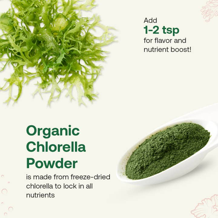 Quay Naturals - Wholesale Protein/Superfood Powder - Organic Chlorella Powder4