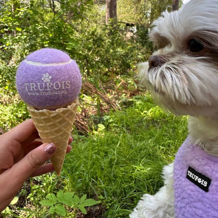 Trufois - Wholesale Pet Fetch Ball - Dog - Ball - Grape🍇