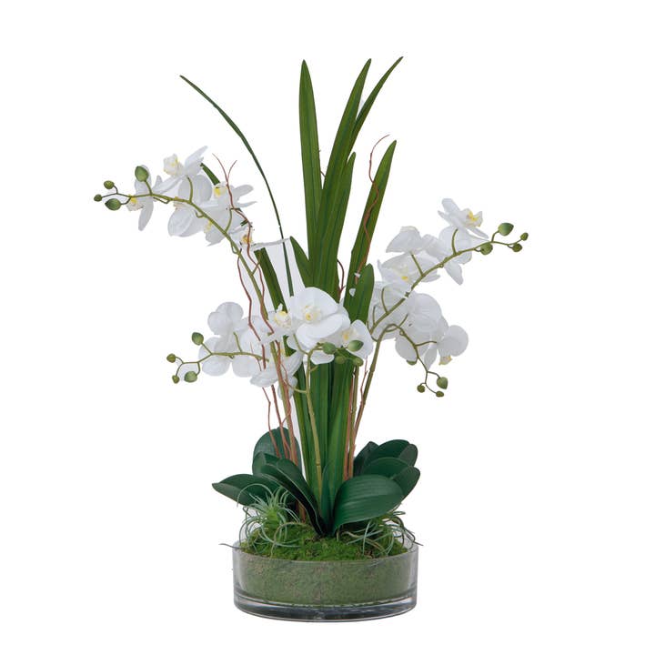 29.5" White Orchid Arrangement by Fiori Sempre for wholesale by MinxNY