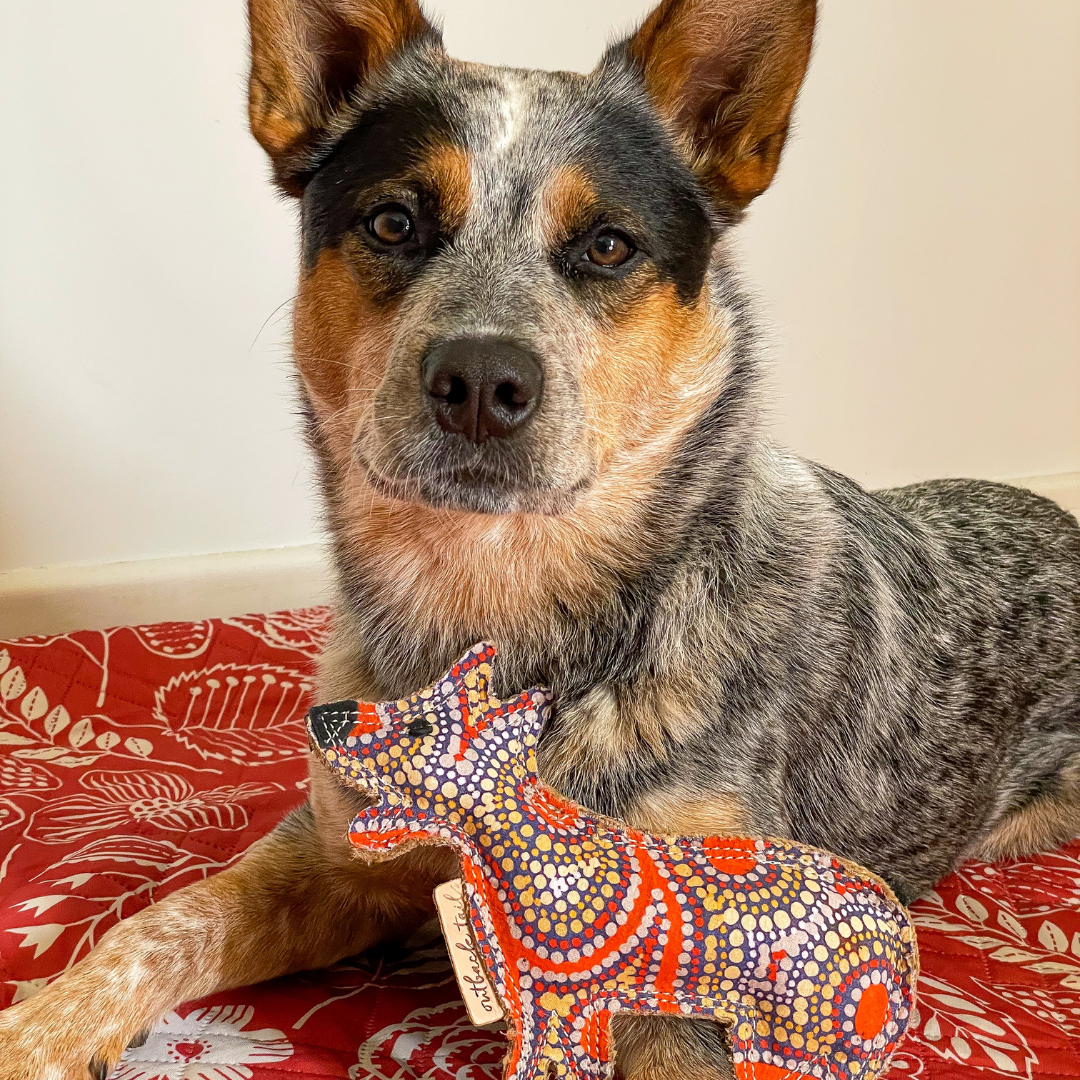 Outback Tails - Wholesale Kauwspeeltje voor honden - Hond - Kauwspeeltje voor honden in de woestijn - Trevor2