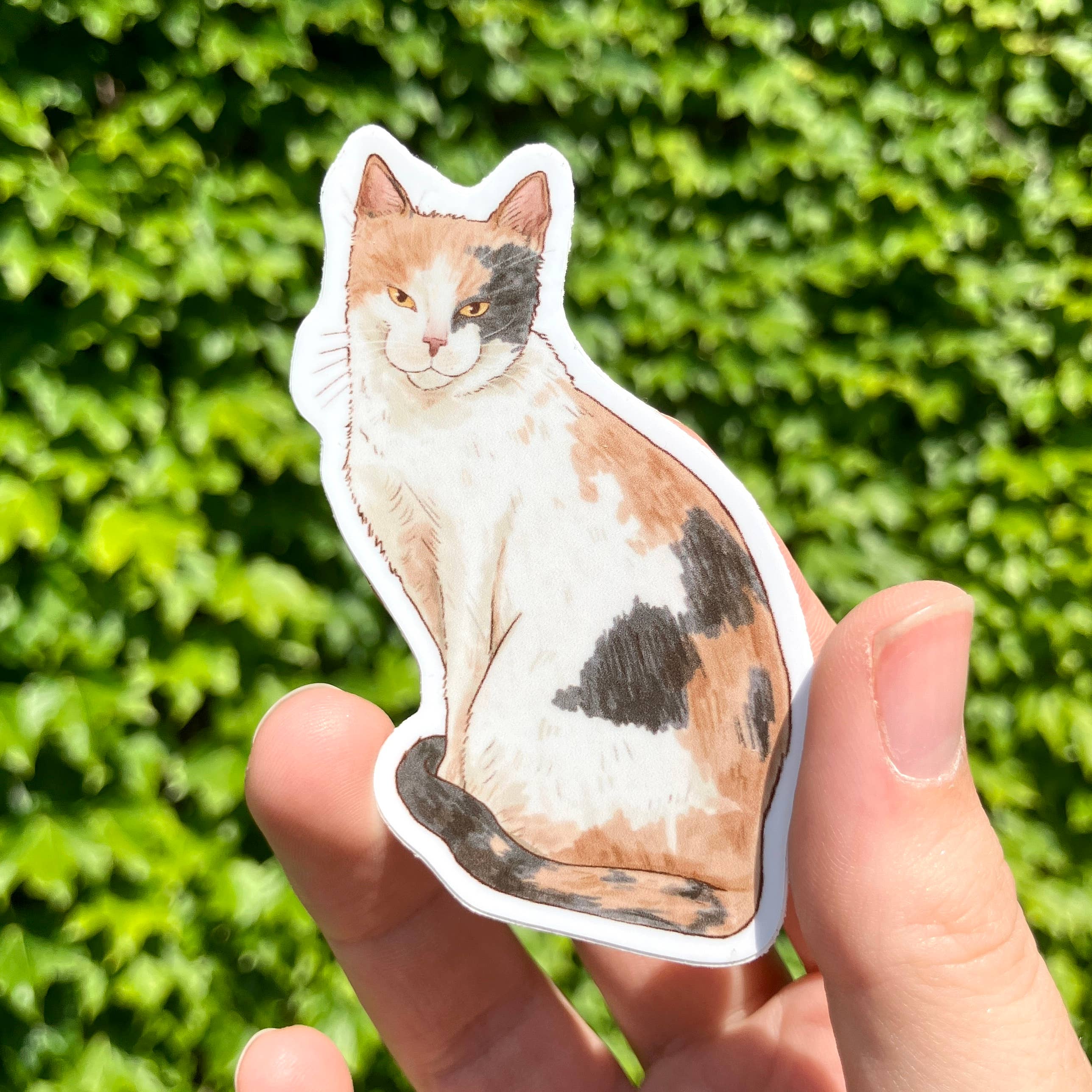 Art Fimbel - Wholesale Sticker - Pale Calico Cat, Premium Vinyl Sticker3