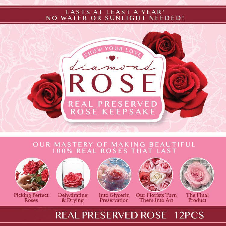 Novelty Brands - Wholesale Retailer Display - Home & Living - Real Preserved Rose Keepsake Gift Assortment - 12/Display5