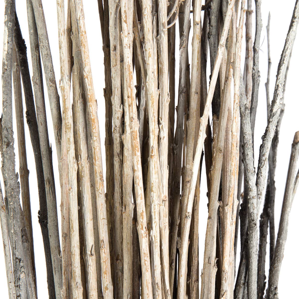 Willow Group - Wholesale Dried/Pressed Flowers - Acacia Decorative Bundle Floral Decor1
