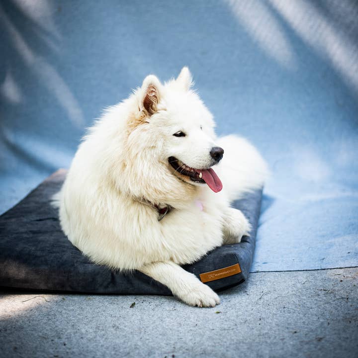 Rexproduct Sp. z o.o. Sp. k. – Engroshandel Seng - Hund – Hundeseng Rexproduct Blød, økologisk pude, farver12