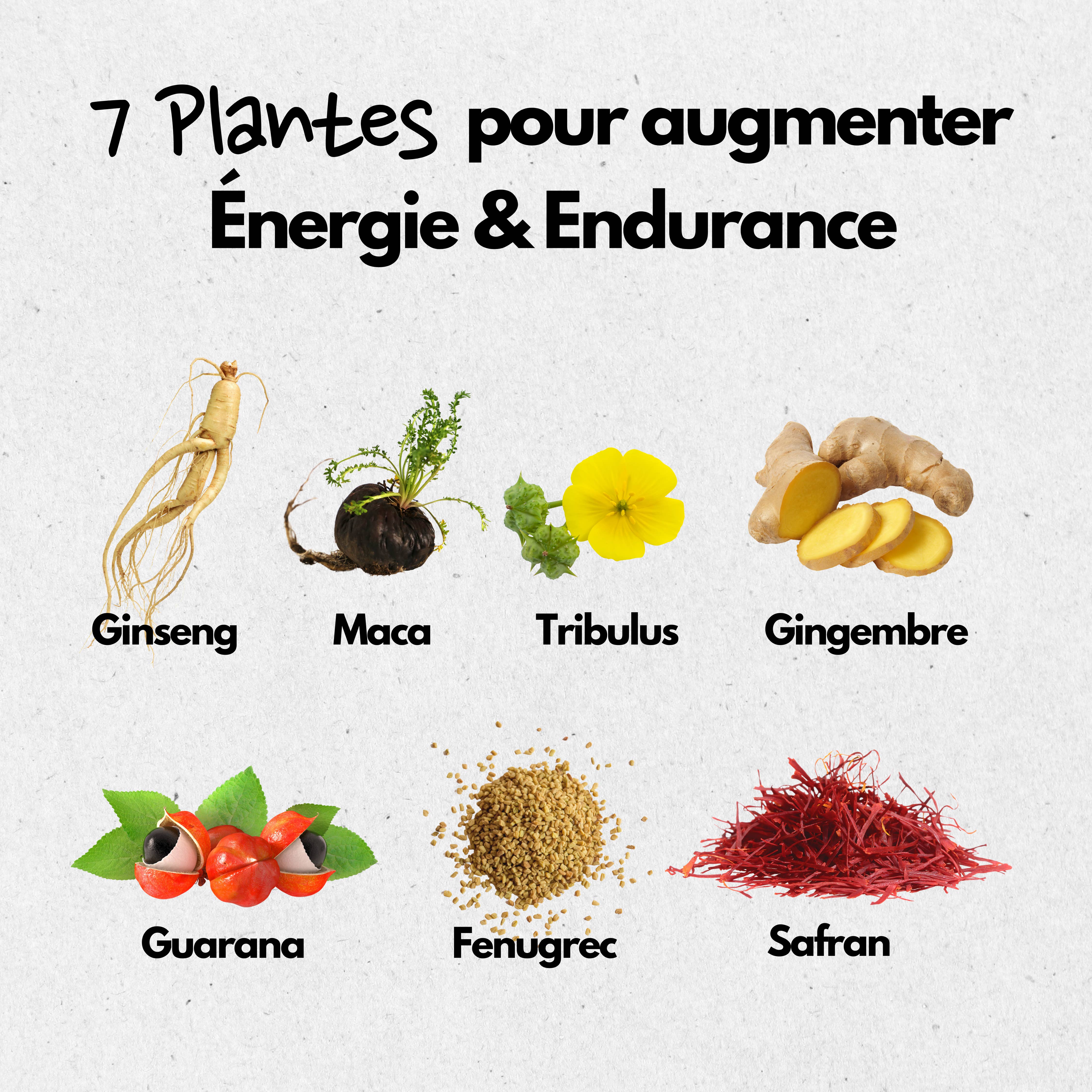 Laboratoire SYSNAT - Venta al por mayor Suplementos/vitaminas para beber - BOOSTER Vitalidad Sexual - 14 dosis4