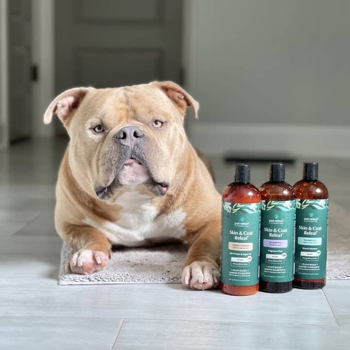 Pet Releaf CBD - Wholesale CBD Pet Products - Topical - Sensitive Skin CBD Shampoo For Dogs