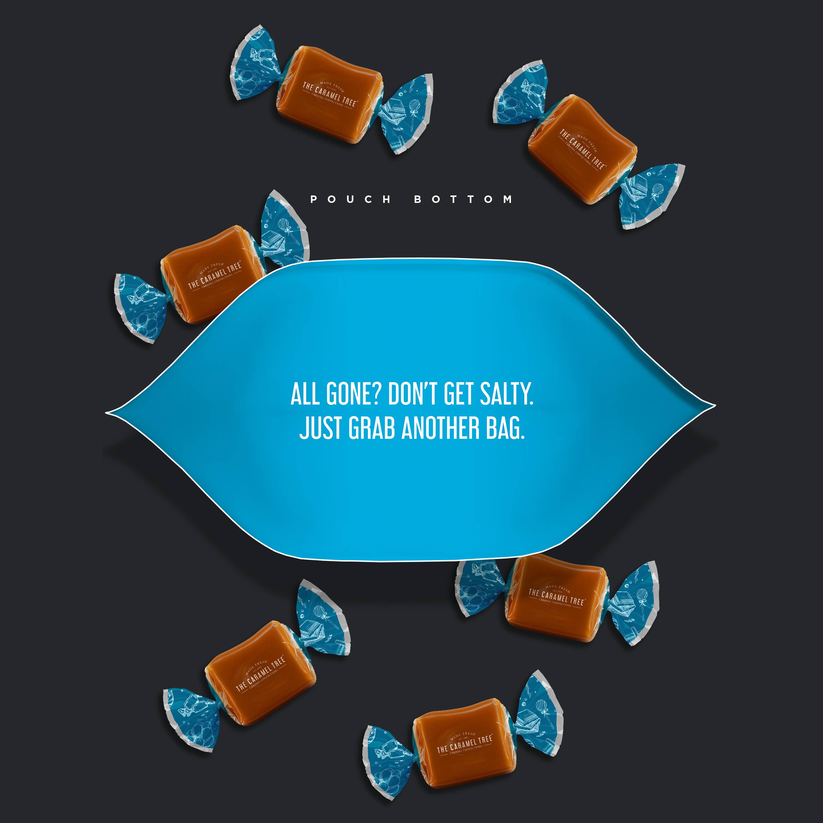 The Caramel Tree® - Vente Caramels - Pochette Caramel au Sel de Mer 215g3