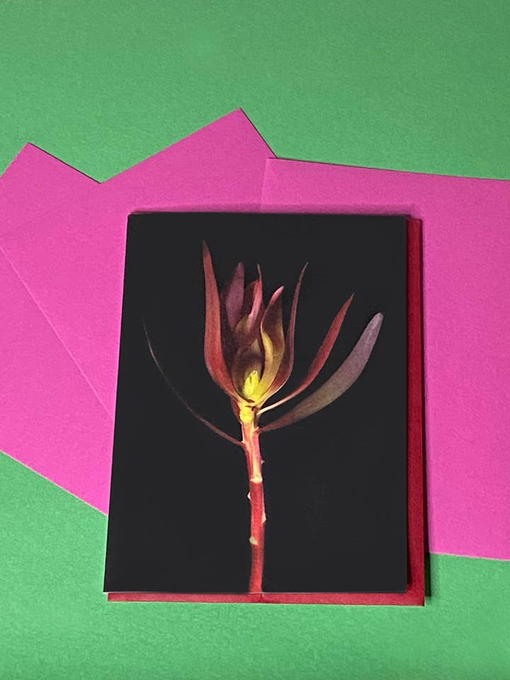 Carte de vœux botanique d'art floral pour la vente par Talfoto Studio