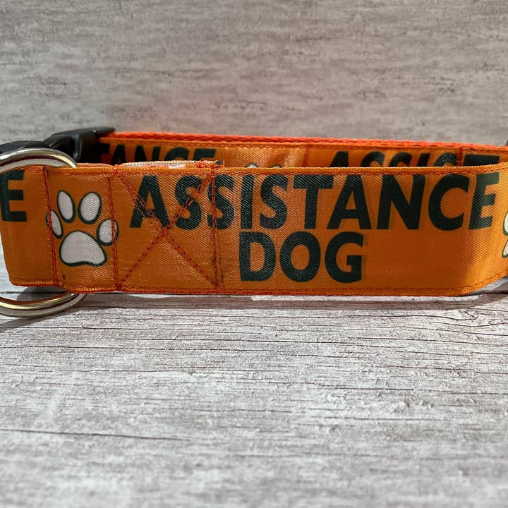 Collar de perro de asistencia - Perro de apoyo**Elección de colores** para venta al por mayor de Dottie's Pet Boutique