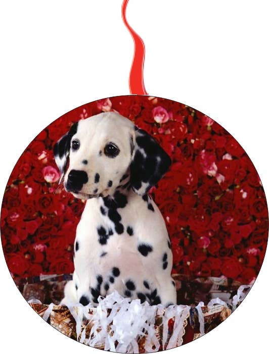 BMS BIZ - Wholesale Ornament - Dalmation Dog Christmas Ornament0