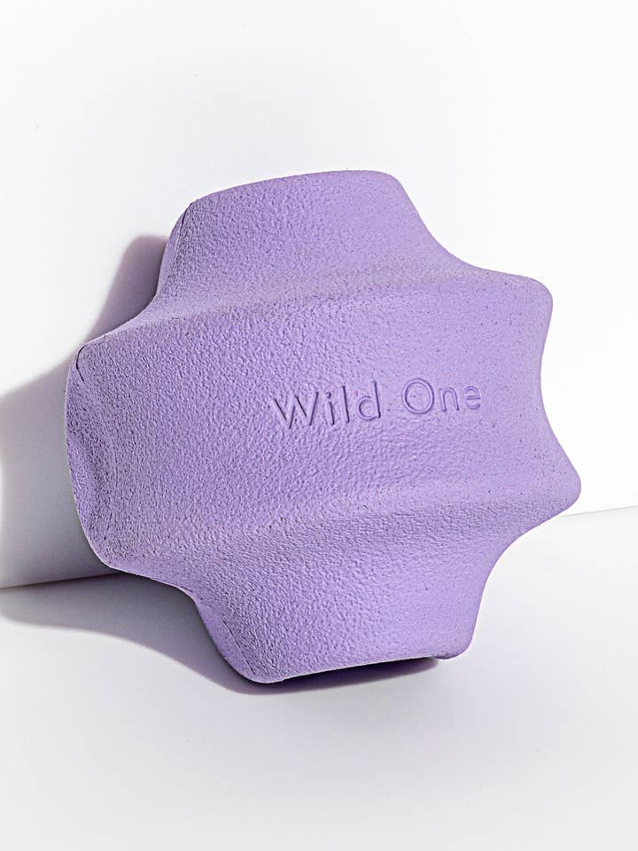 Twist Toss for wholesale by Wild One