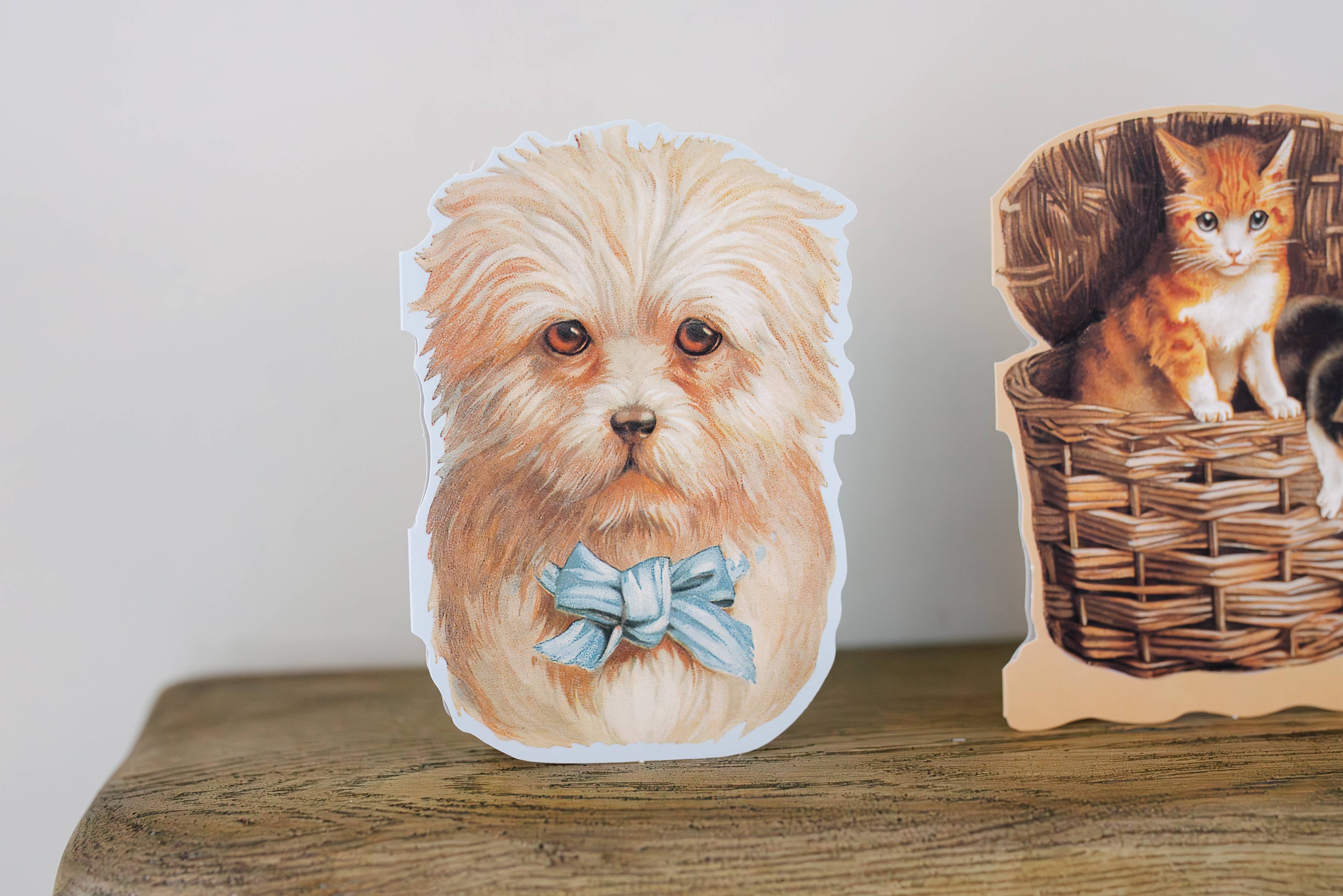 Mamelok – wholesale Everyday greeting card – MINI DIE CUT ASSORTMENT EVERYDAY CARDS6