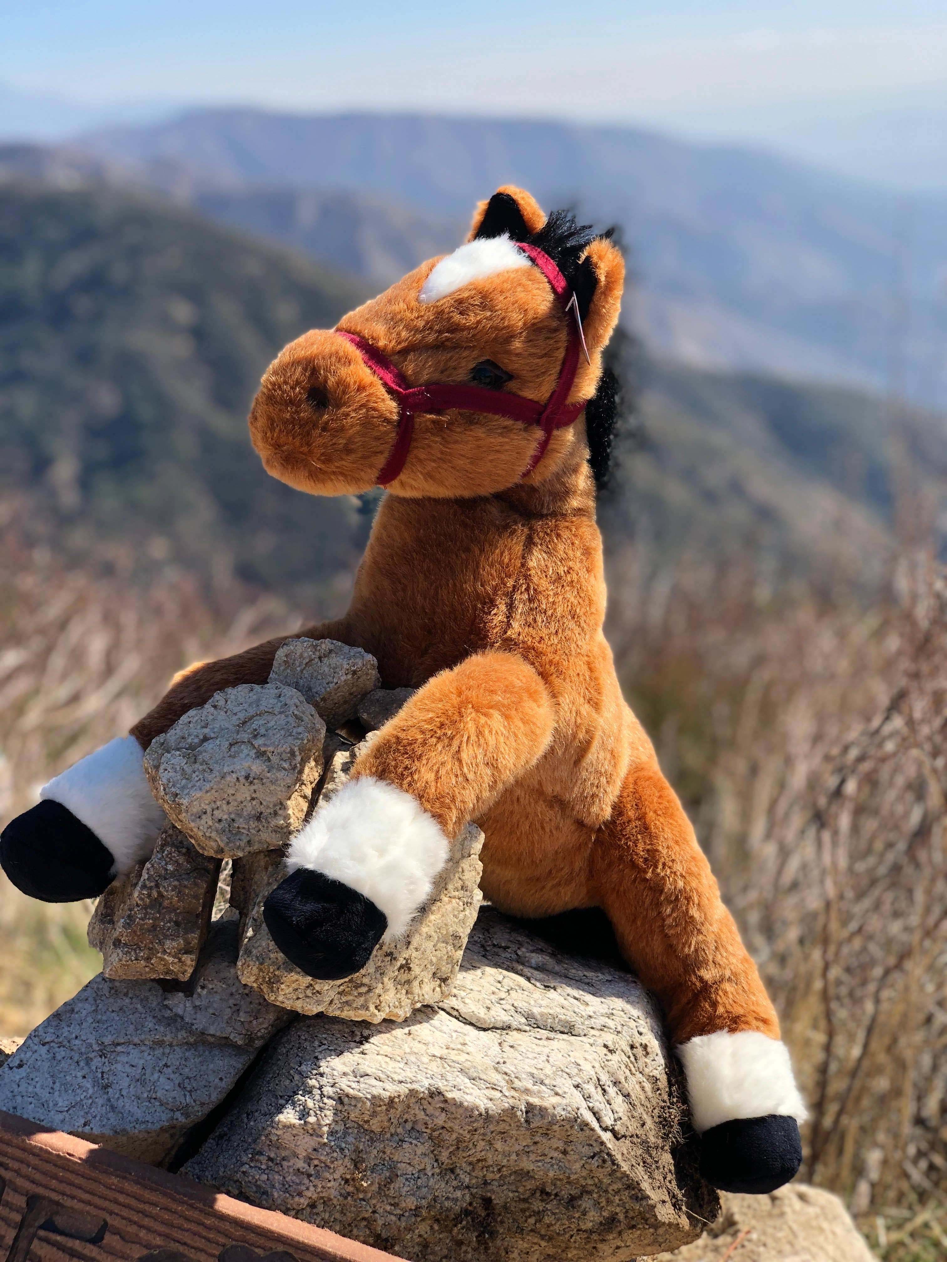 Plushland - Wholesale Stuffed/Plush Toy - Kids & Baby - 14" & 17" Resting Horse Plush - Soft Plush Stuffed Animals6