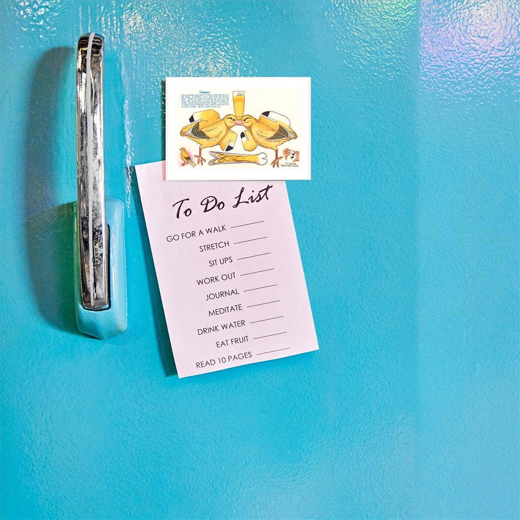 Found Image Press - Wholesale Magnet - Magnet BD-151 Cutout of Canary1