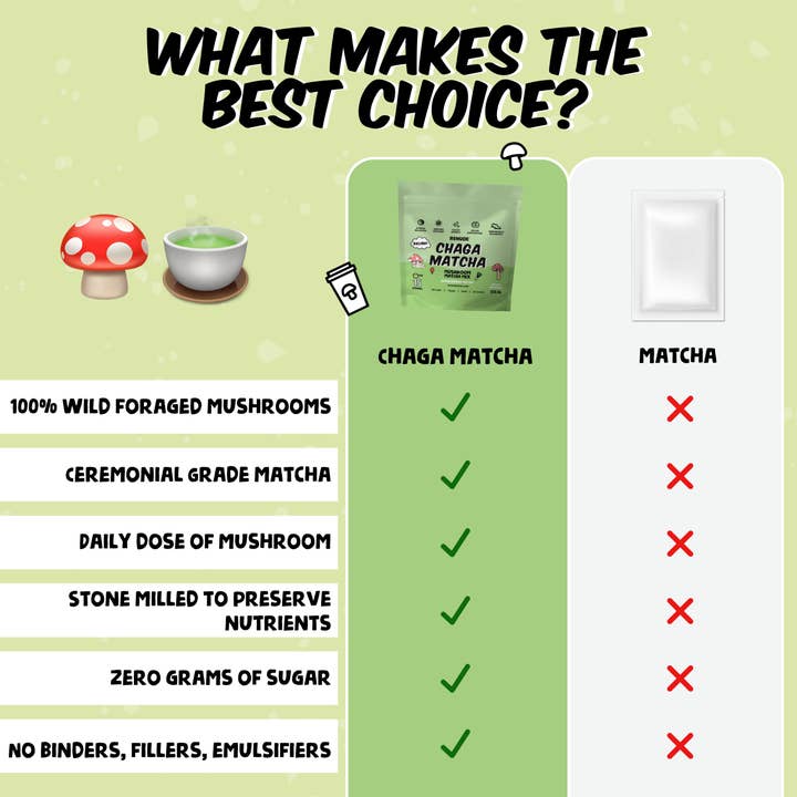 Renude - Wholesale Health/detox tea - Chaga Matcha Single Serve Box - 5 Pack3