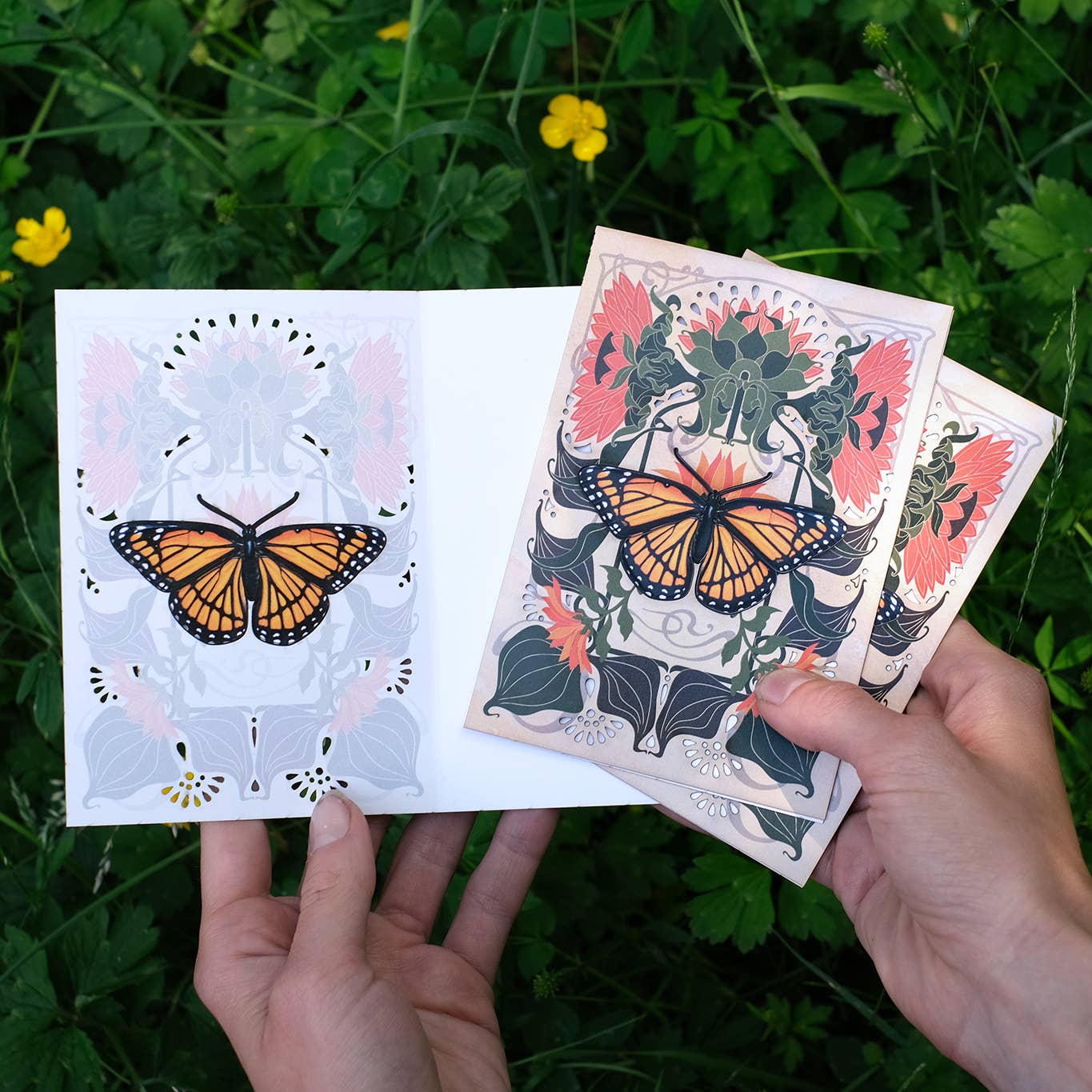 Moth and Myth – wholesale Everyday greeting card – Viceroy Butterfly Greeting Card with Removable Butterfly1