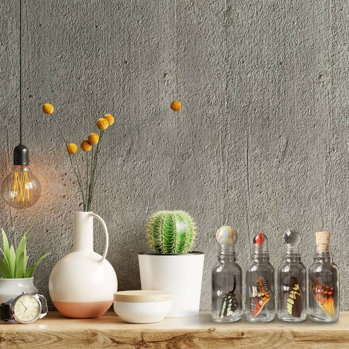 Isms - Wholesale Decorative Tabletop Object - Real Standard Butterfly Wing in Glass Bottle10