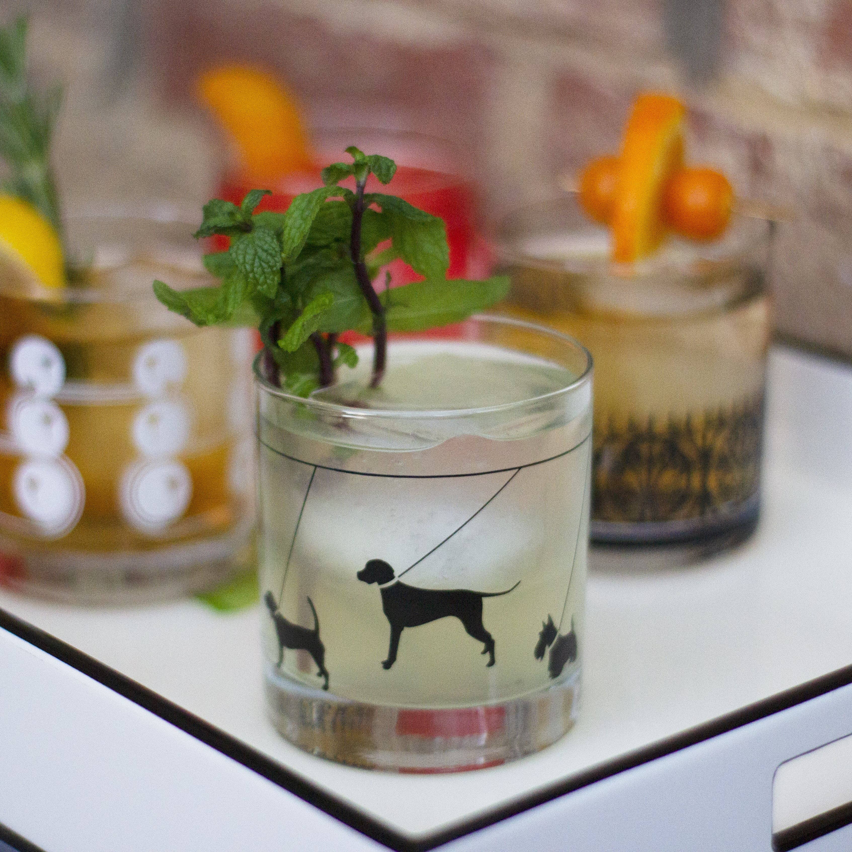 The Modern Home Bar - Vente Verres à cocktail/alcool - Yappy Hour Rocks Verre15