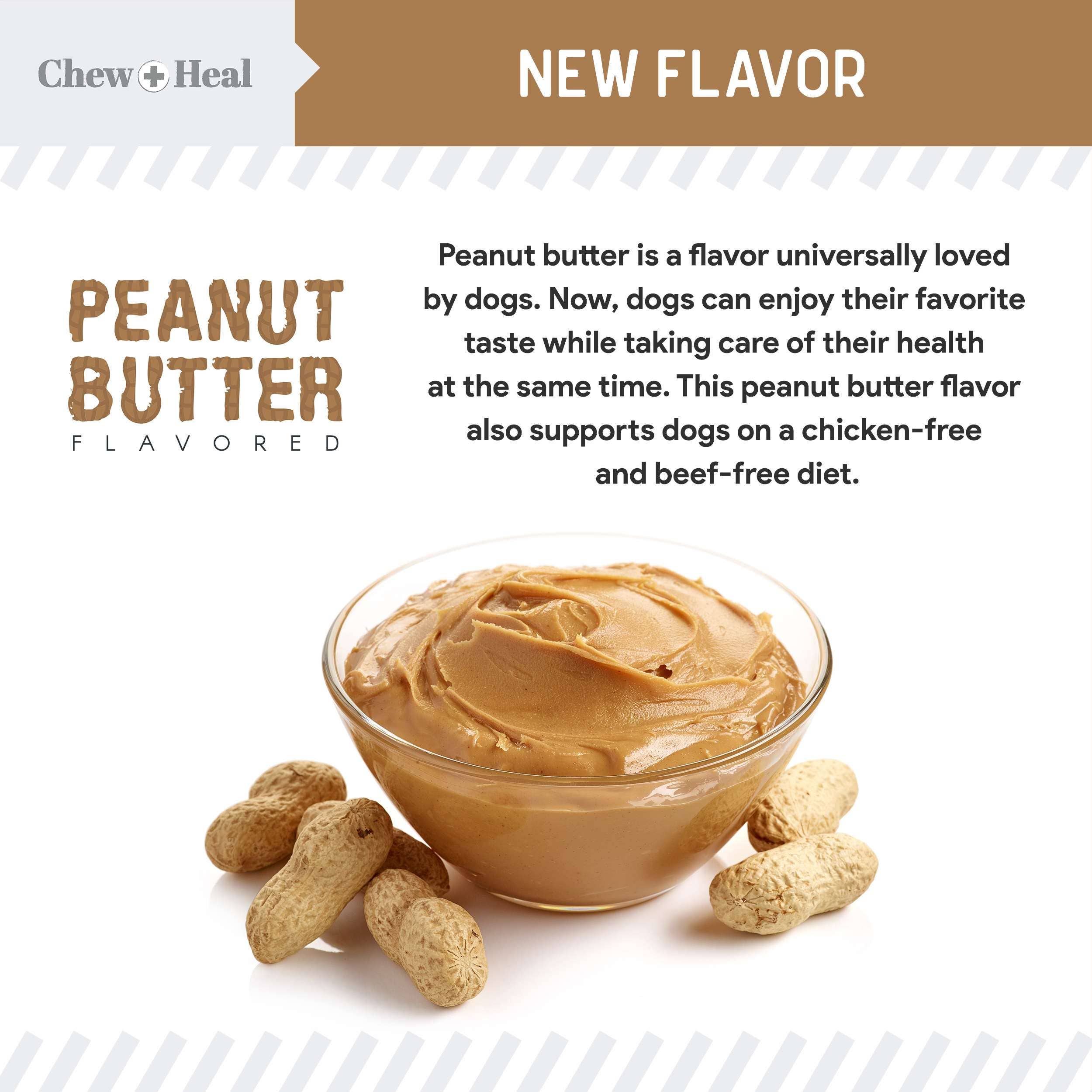 Chew + Heal - Wholesale Pet Supplement - Dog - Chew + Heal Peanut Butter Omega Skin + Coat Dog Soft Chews1