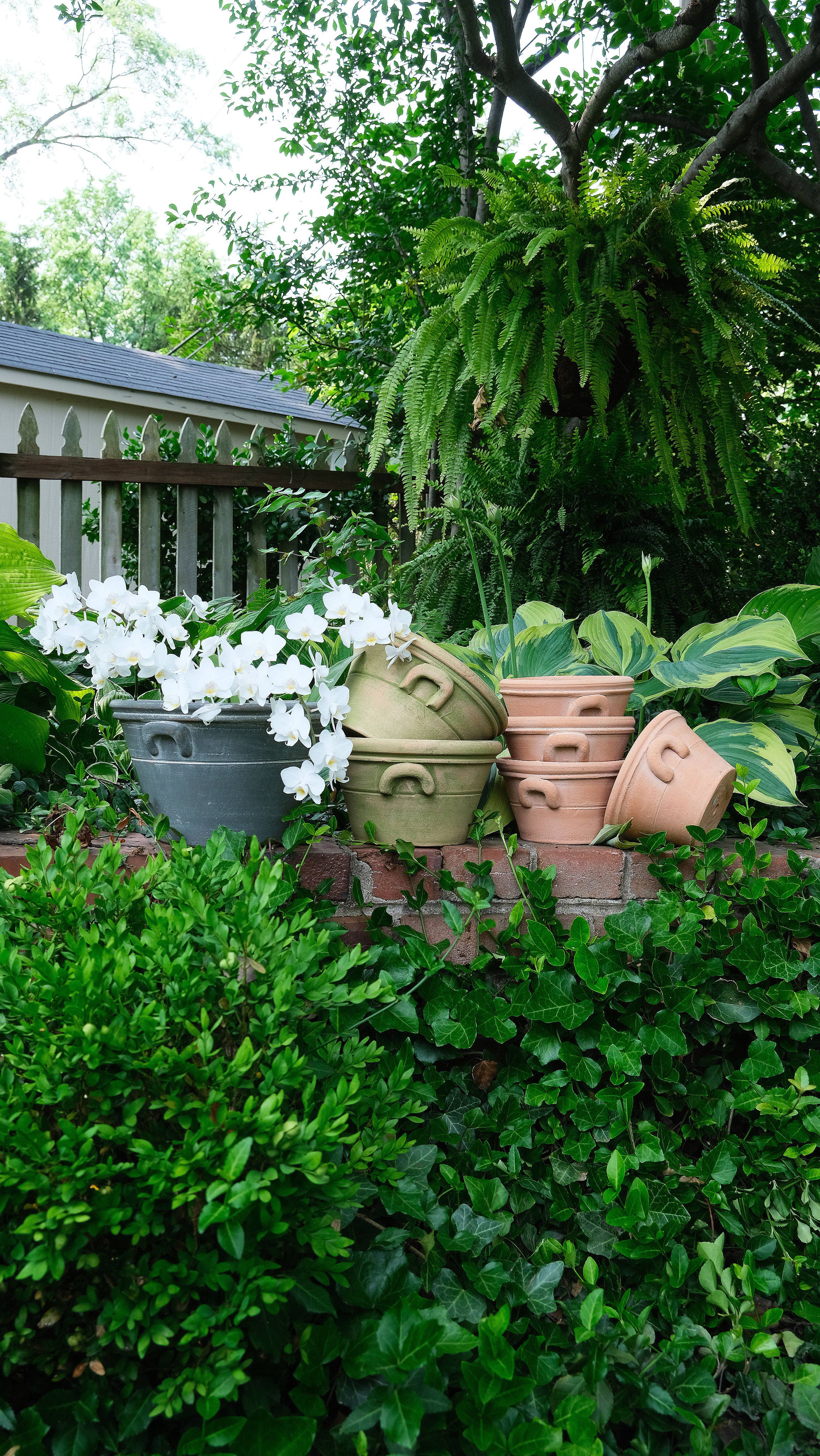 Botanical Collections - Wholesale Plant Pot - Provence Pot #2 - Set of 43