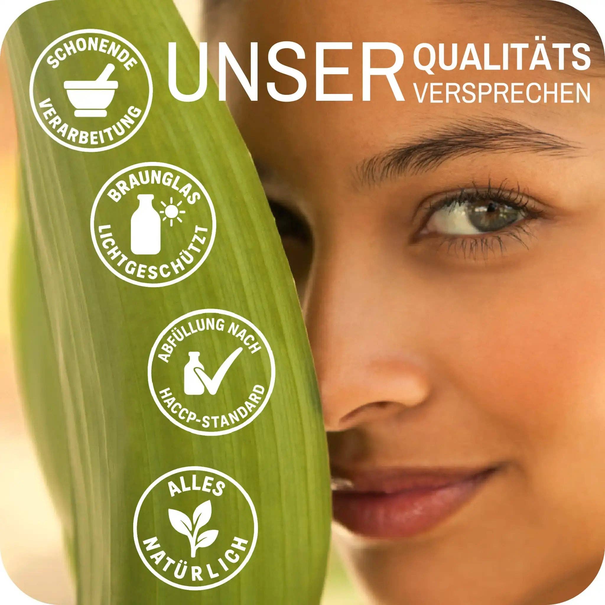 LebeFrischa – Großhandel Nahrungsergänzungsmittel/Vitamin zum Einnehmen – LebeFrischa Spirulina – Natürliche Mikroalge mit hohem Nährstoffgehalt 300 Tabletten1
