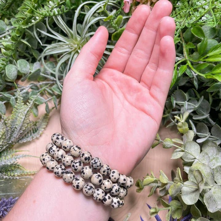Copper Ashes - Wholesale Beaded Bracelet - 8mm Beaded Dalmatian Jasper Bracelet4