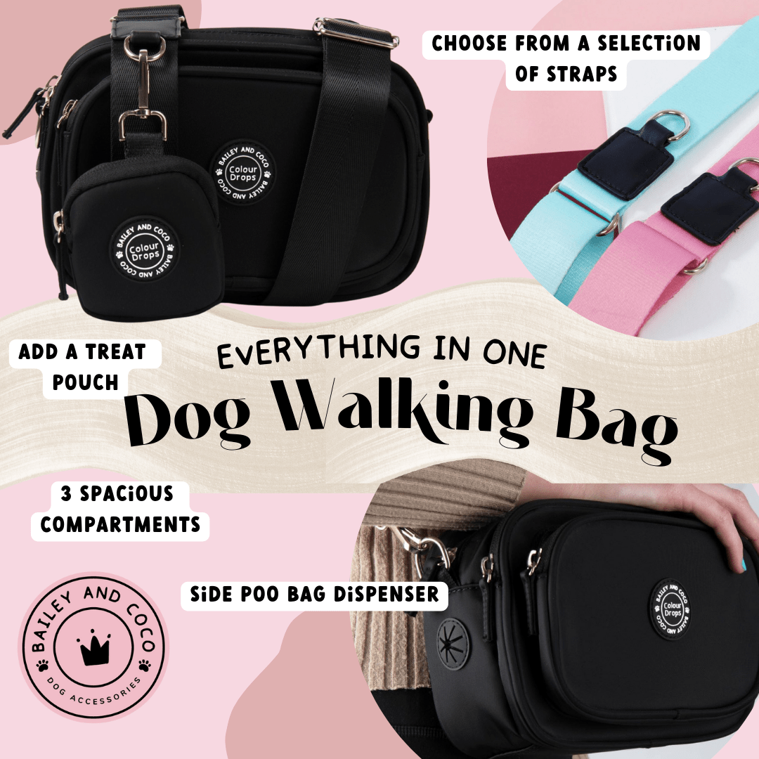 Bailey and Coco – wholesale Pet treat bag – Dog – Dog Walking Bag - Black with Spice It Up Strap1