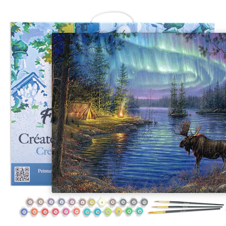 Pintar por números alce y aurora boreal enmarcado para venta al por mayor de Figured'Art