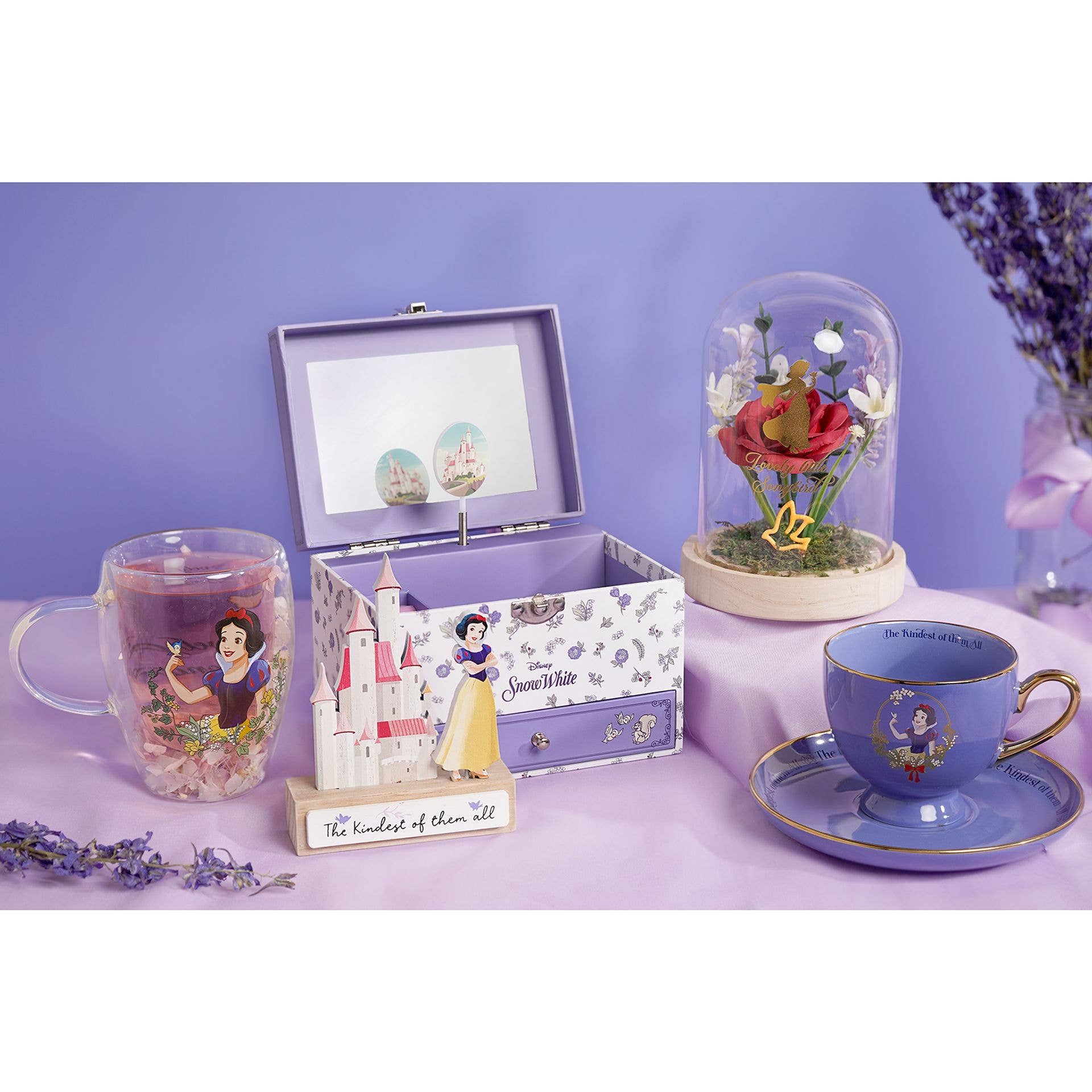 WIDDOP and Co. - Wholesale Drinking Glass/Cup - Disney Pastel Princess Tea Cup & Saucer - Snow White5