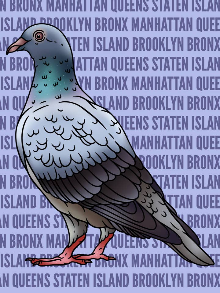 NYC Pigeon for wholesale by Cards by Dé