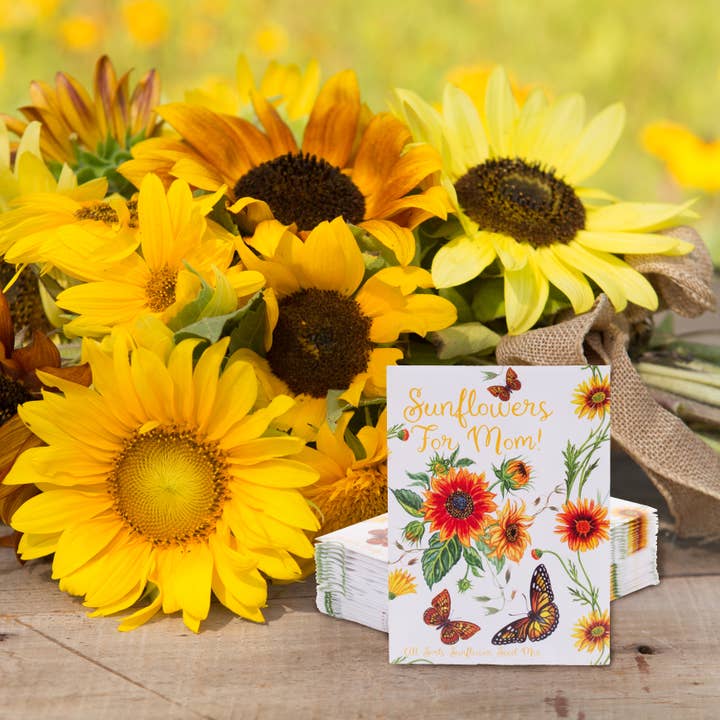 Bentley Seed Co. - Wholesale Mother's Day Card - Sunflowers For Mom - All Sorts Sunflower Seed Packets