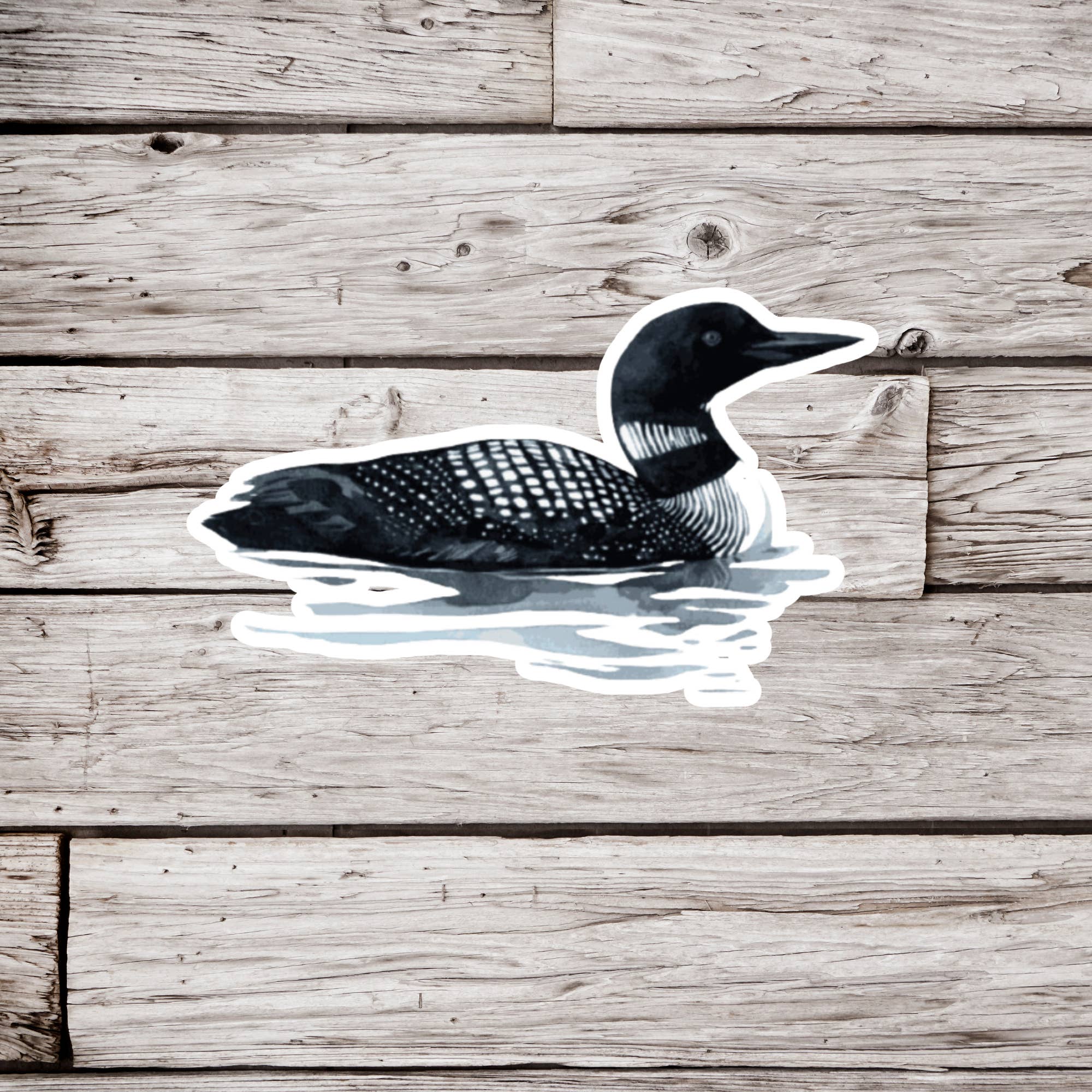 NatureCuts - Wholesale Sticker - Loon Sticker, Duck Sticker, Bird Sticker