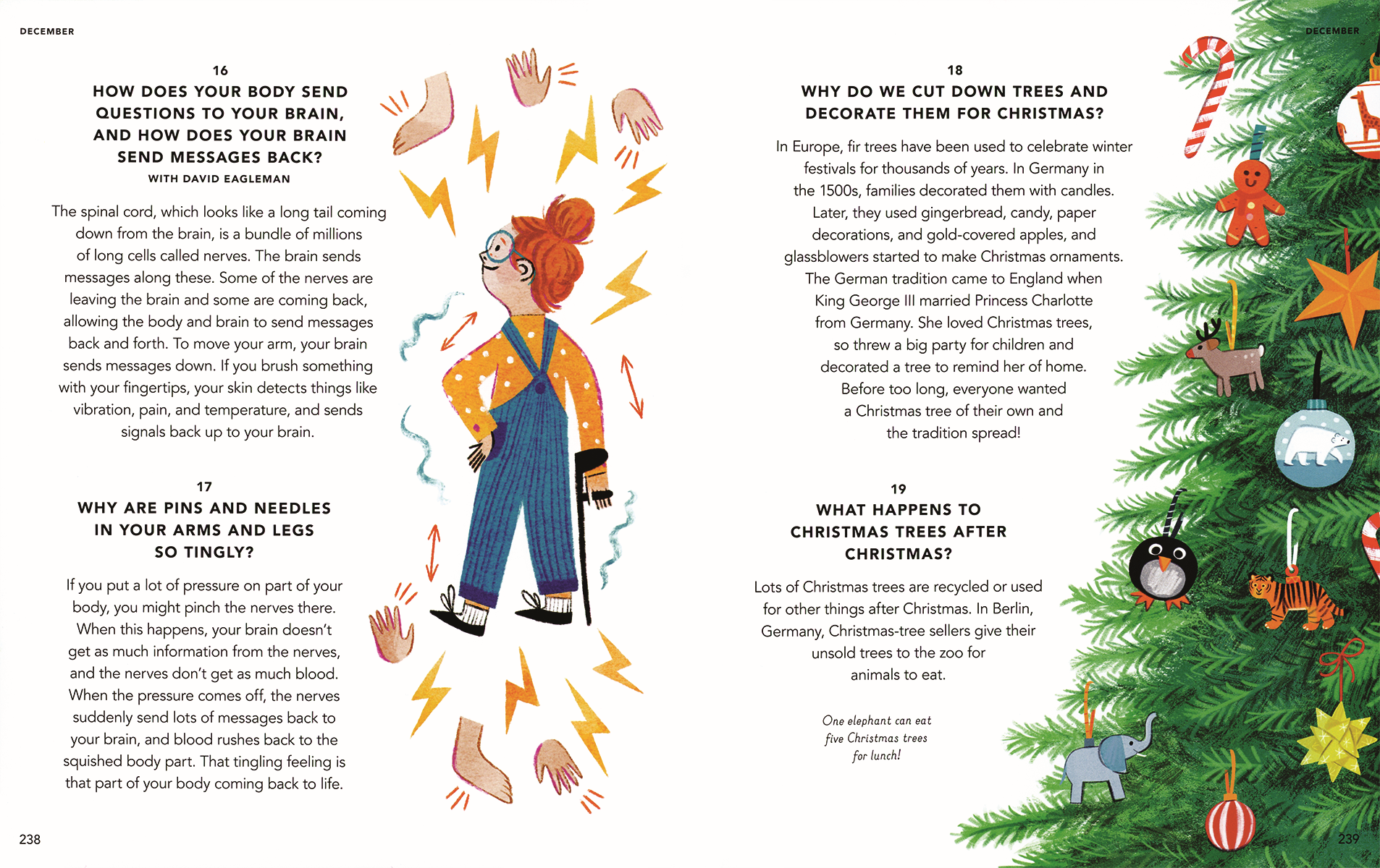 EDC Publishing - Wholesale Early Reader Book (6-8) - Everything Under the Sun5