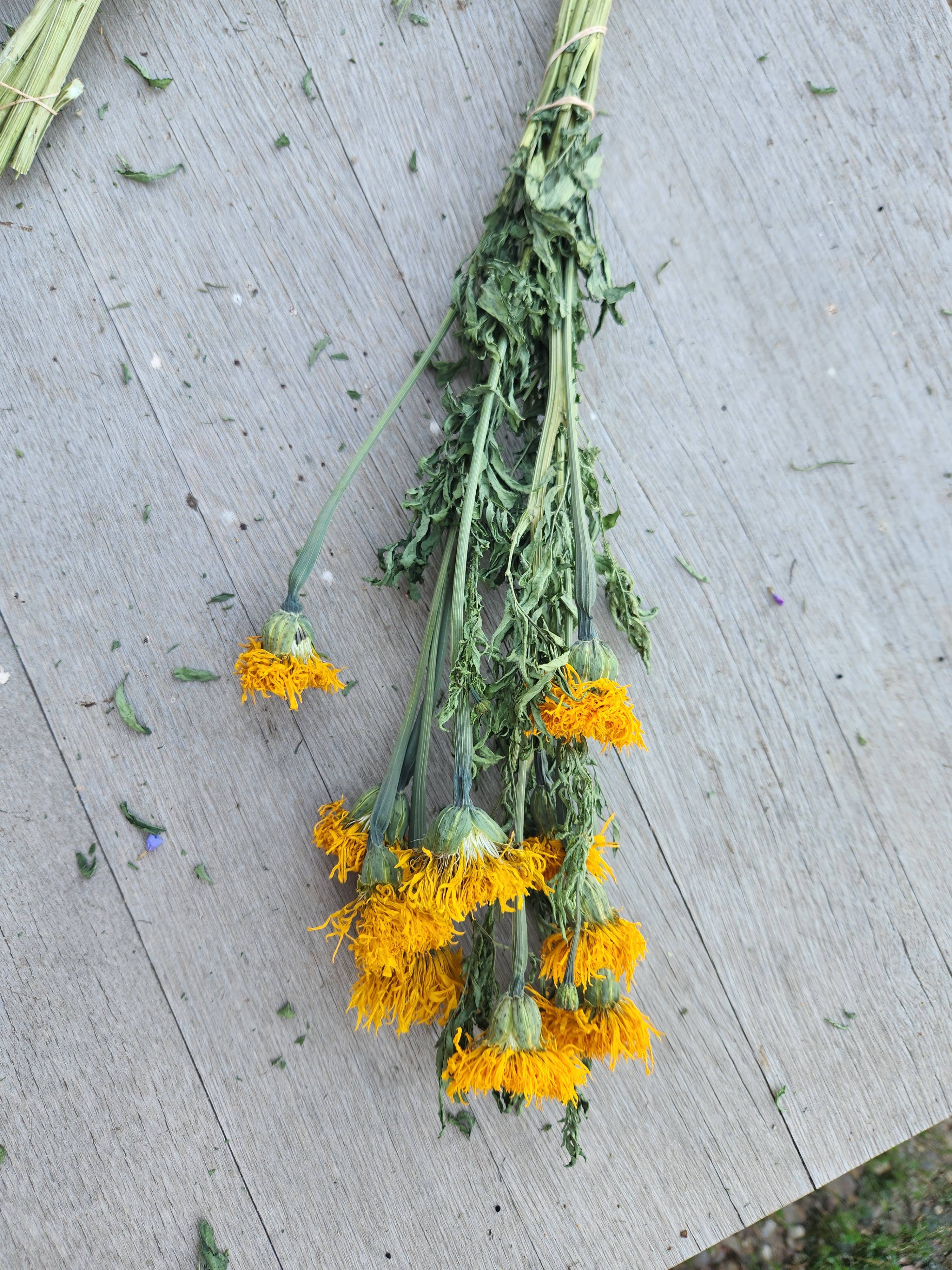 Alissas Flower Farm - Vente Fleur séchée/pressée - Soucis séchés5