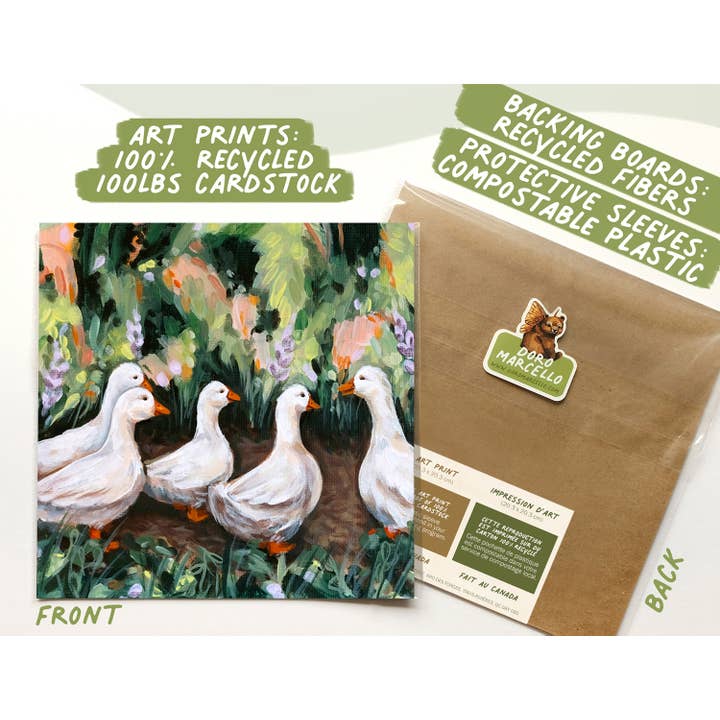 Doro Marcello - Vente Affiche d'art - Impression artistique sur de jolies oies | 8 x 8 pouces | Décoration murale représentant des animaux de la ferme3