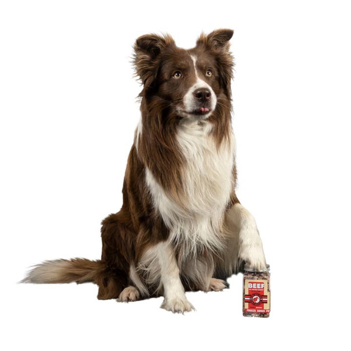 IGSM LTD - Wholesale Pet Treats - Dog - KIWI Walker Dog Treats - Freeze Dried Meat & Chicken