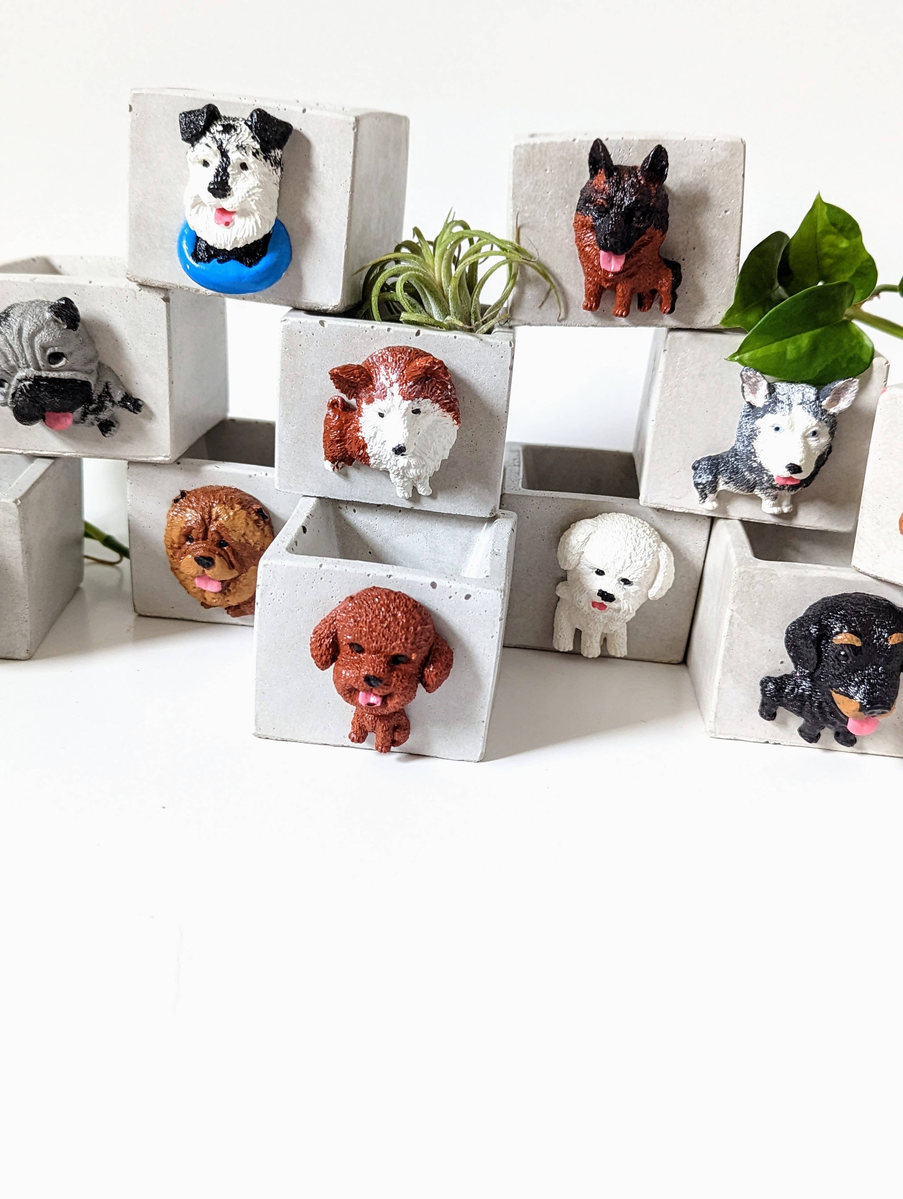 ForgottenProperty - Wholesale Plant pot - Doggo Mini Concrete Planter and Air Plant Holder4