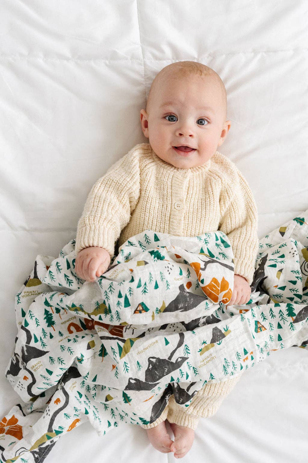 Clementine Kids - Wholesale Swaddle - Baby - National Parks Swaddle (Mini Pattern)1