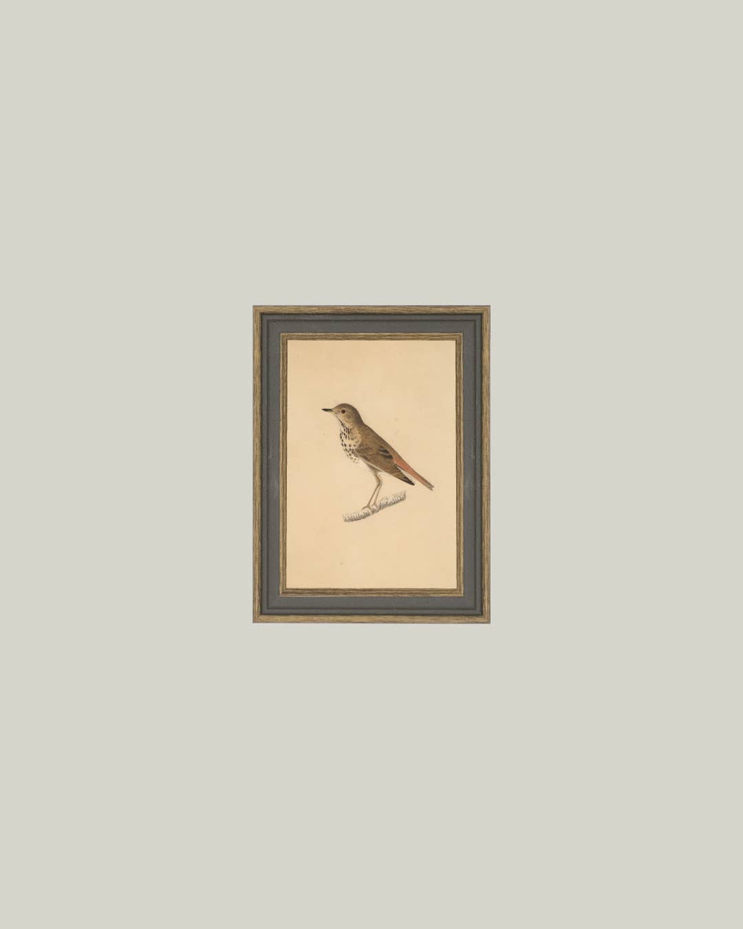 Petal Lane Home - Wholesale Wall Art Set - Bird Framed Antique Art0