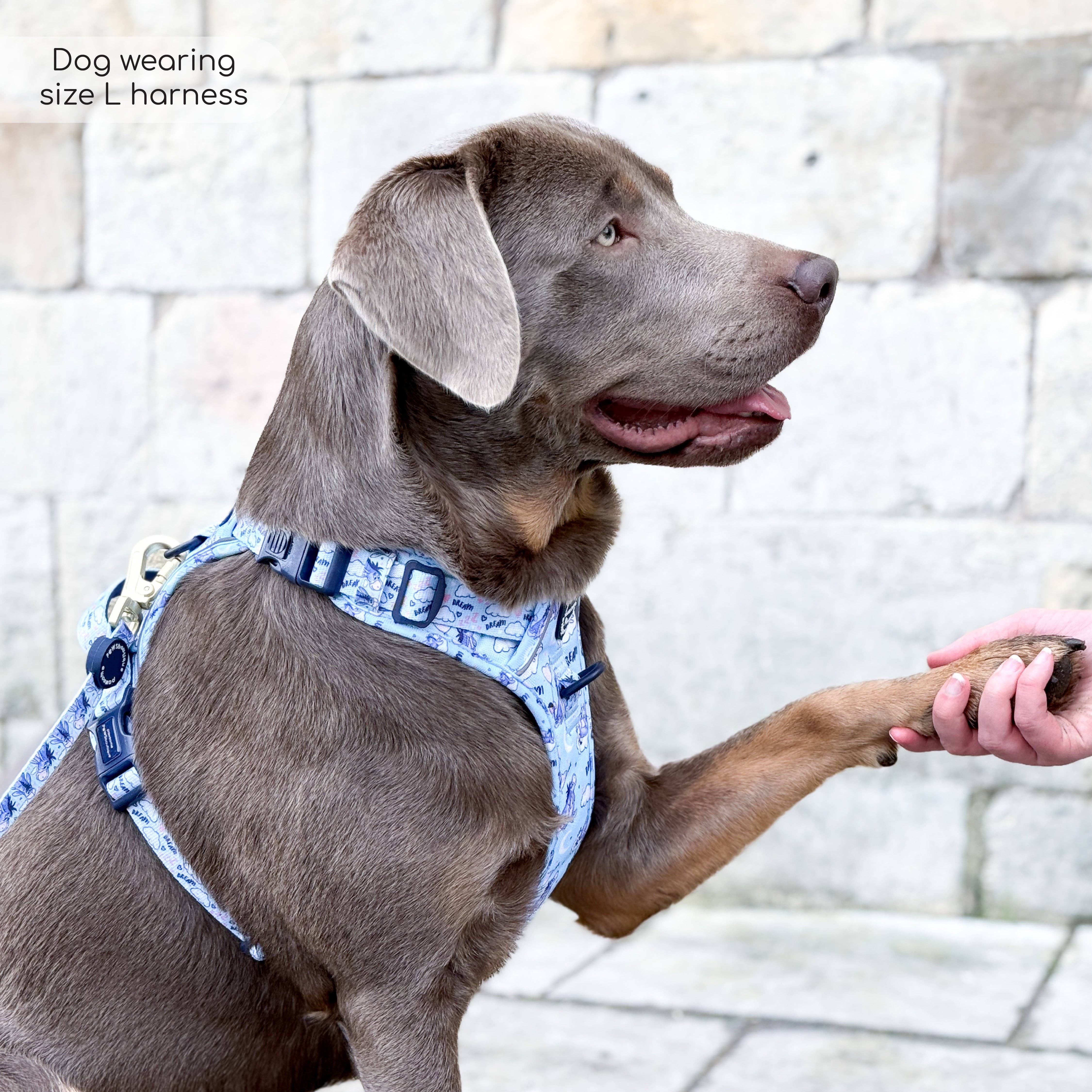 Pawsome Paws - Vendita all'ingrosso Pettorina - Cani - Disney© Tough Trails™ Pettorina - Ih-Oh14