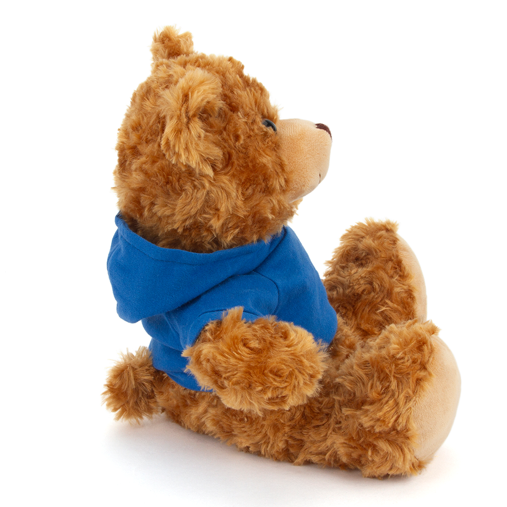 Plushland – wholesale Stuffed/plush toy – Kids & baby – 11" Personalized Teddy Bear in Hoodie | Custom Sitting Bear21