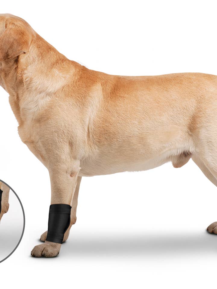 OrthoWrap Ligament Protector for wholesale by ZENPET