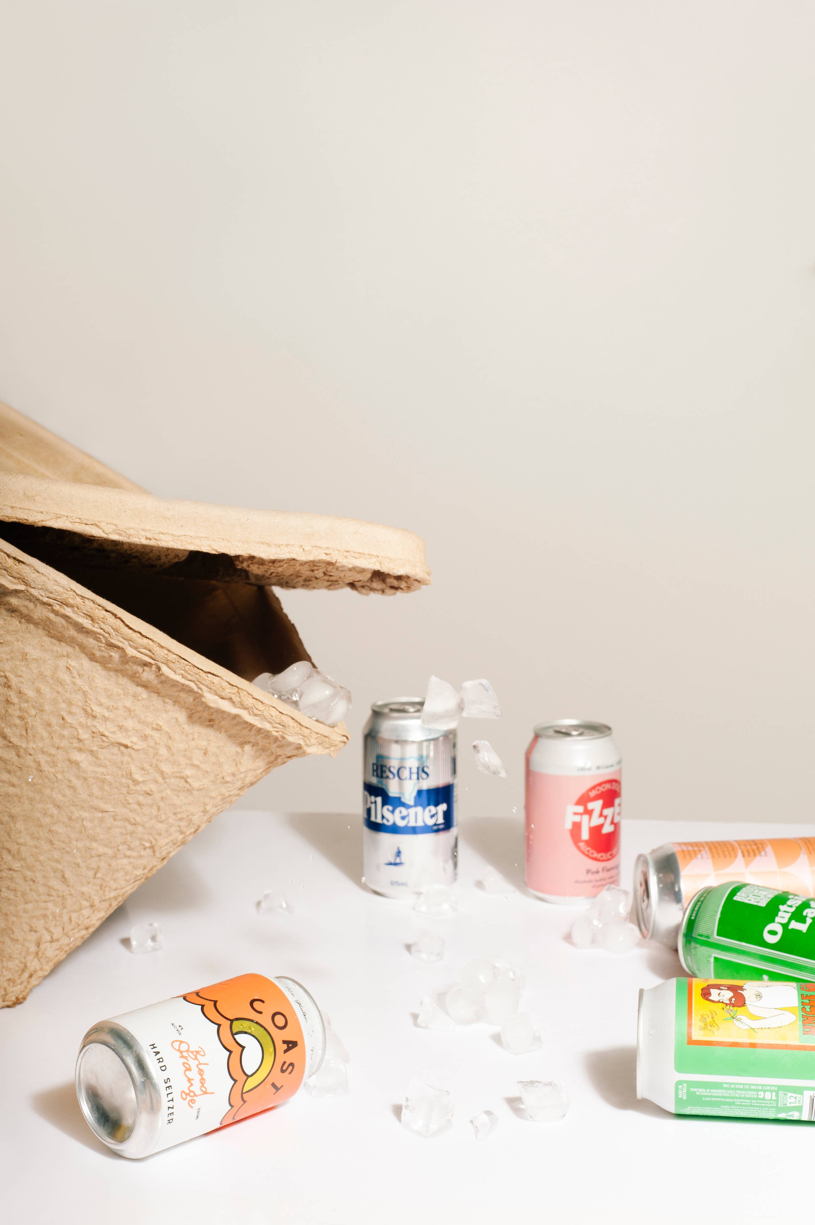 Never on a Monday - Wholesale Cooler/cooler bag - ESKY - IGLOO BIODEGRADABLE REUSABLE COOLER - 15 LITRE4