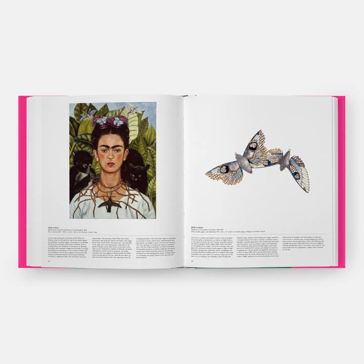 Phaidon - Wholesale Nature & Outdoors - Butterfly: Exploring the World of Lepidoptera8