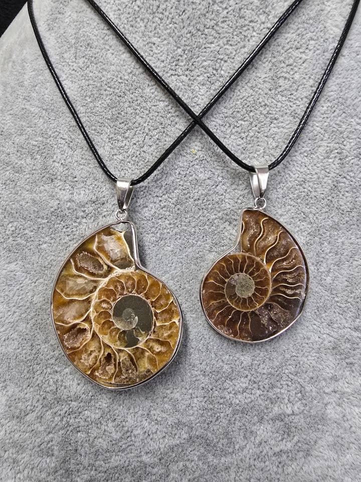 Handcrafted Mollusk Necklace – Unique Natural Shell Jewelry for wholesale by 2 Greeks Inc