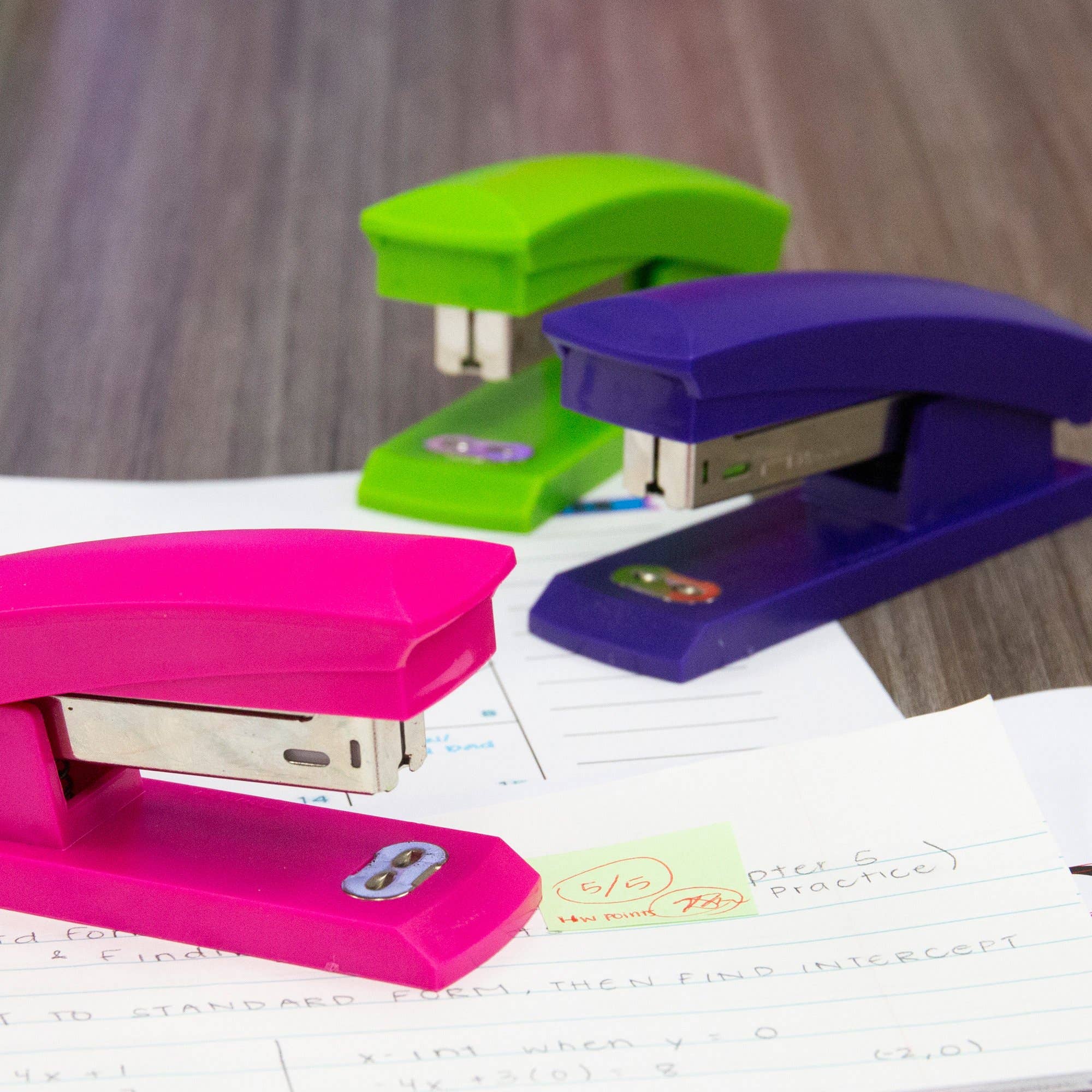 Luna Office Supply -  Everyday Essential - Wholesale Stapler - Bright Color Standard Stapler with 500 Ct Staples4