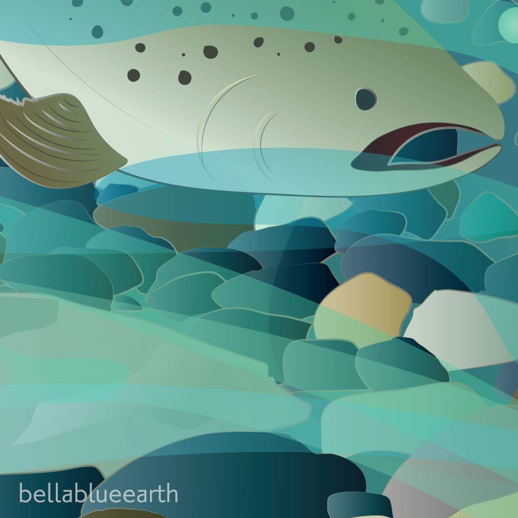 Bella Blue Designs - Wholesale Art Print - Poster Art Print - Salmon Magic, 12x18"4