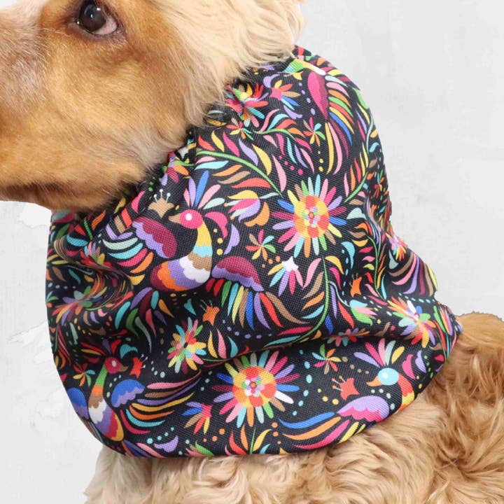 Snood pour chien imperméable | Paon pour la vente par Distinguish Me