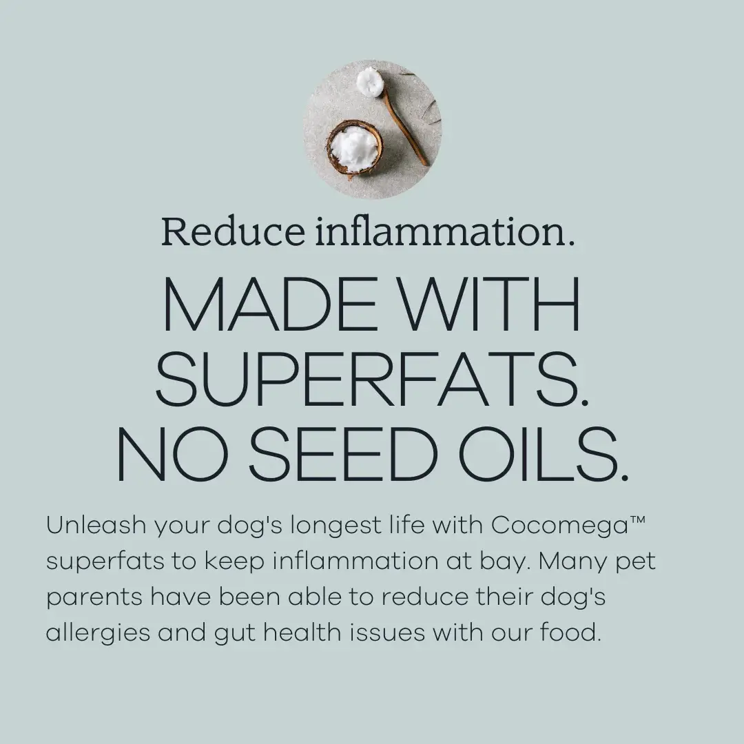 Yumwoof Natural Pet Food - Vente Nourriture – chien - Perfect Superfood nourriture sèche à l’air pour chiens6